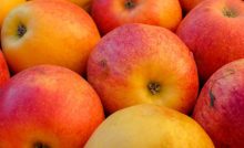 El vinagre de manzana es una ayuda para la salud y tiene numerosos beneficios que pueden hacer sentirnos mejor en el día a día