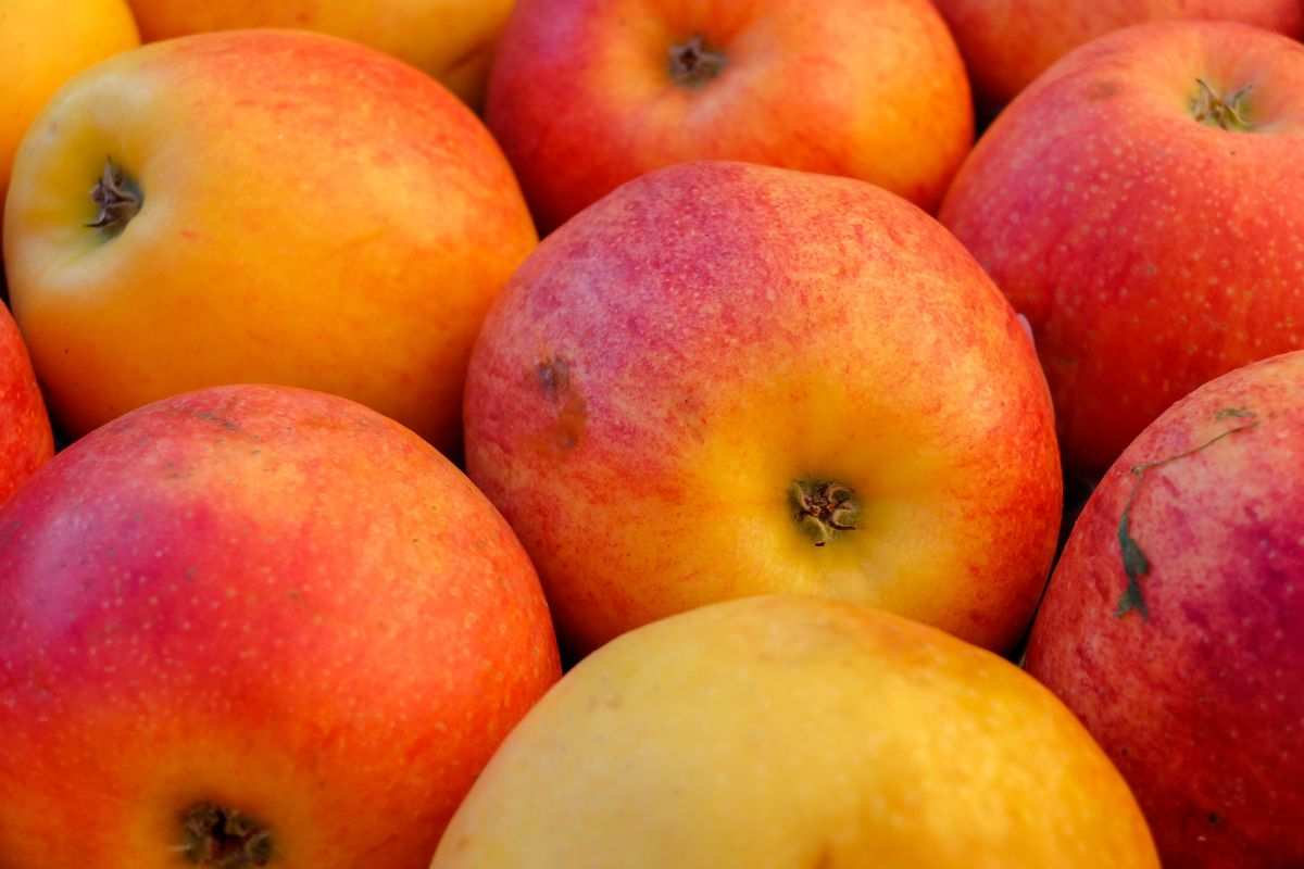 El vinagre de manzana es una ayuda para la salud y tiene numerosos beneficios que pueden hacer sentirnos mejor en el día a día 