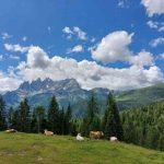 Actividades en la montaña