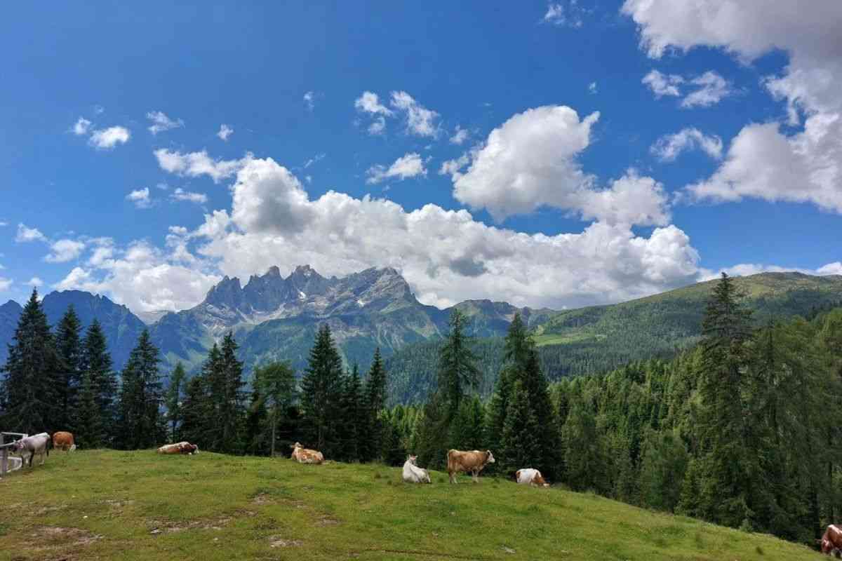 Actividades en la montaña