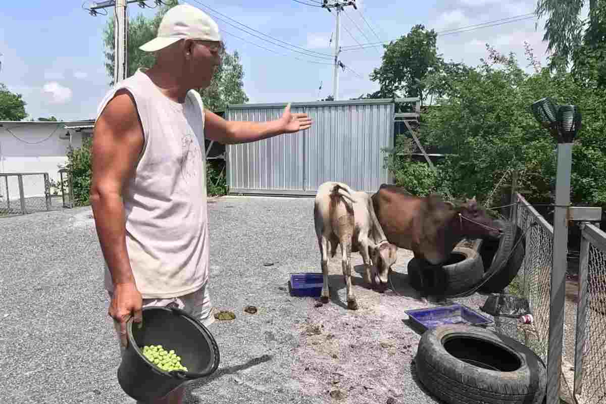 Frank Cuesta en su Santuario