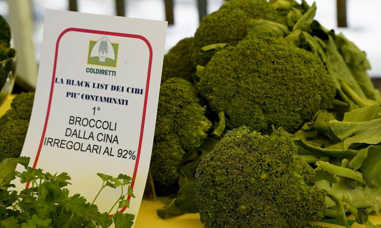 Brócoli, uno de los mejores alimentos.