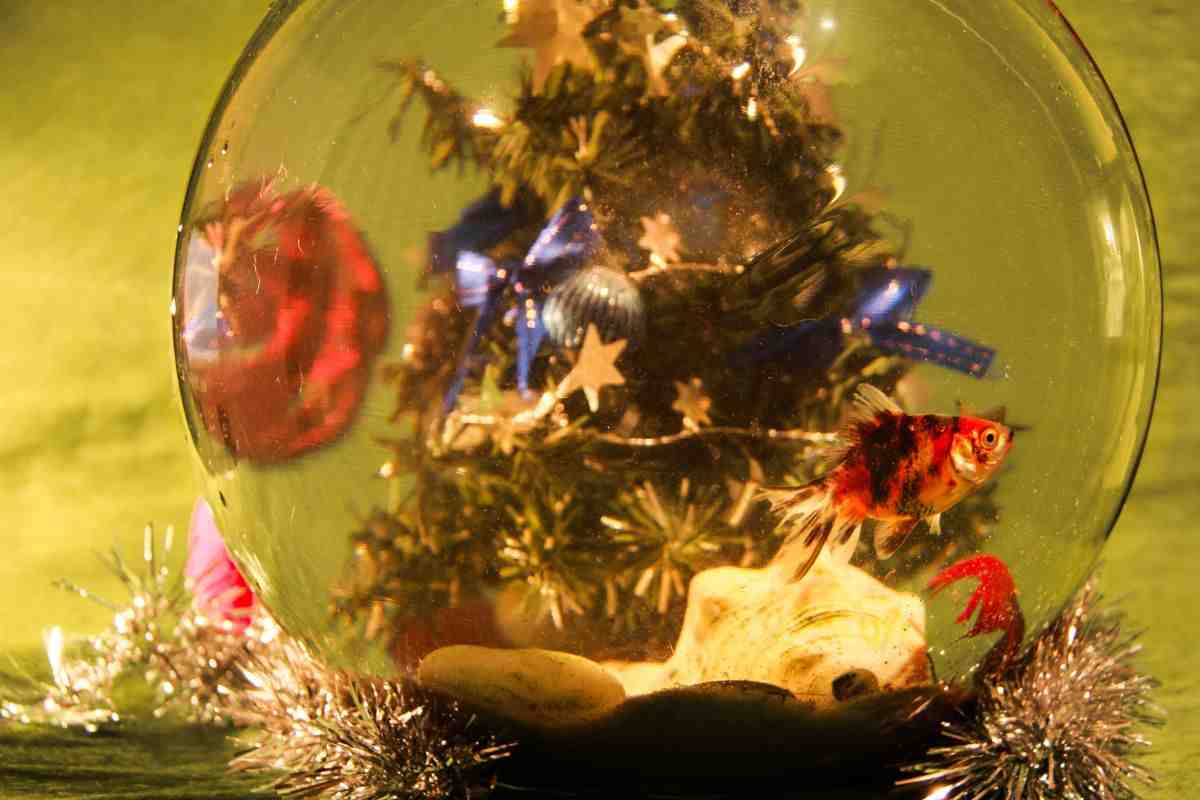 Decorar tu casa con peceras en Navidad