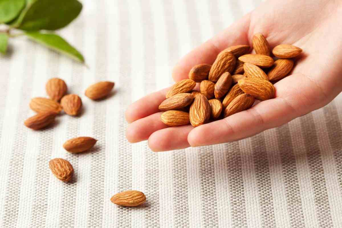 Ventajas de las almendras para Navidad