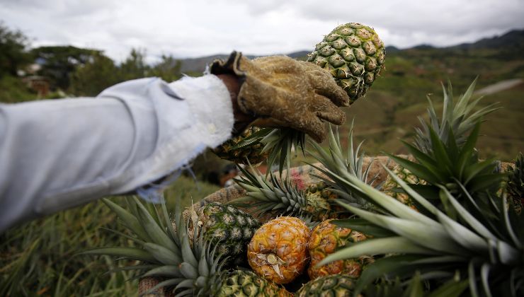 retención de líquidos alimentos