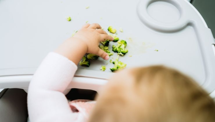 comida niños bebés alimentación embarazo mamá madres